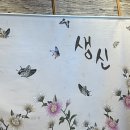 삿뽀로동탄점(주)엔타스 | 삿뽀로 동탄점. 부모님 생신. 주말 삿뽀로 특선 대만족💜