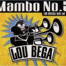 [라인댄스] Mambo No.5 (살사랑&LP댄스클럽) 이미지