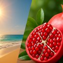 피부 회복 돕는 음식 5가지 이미지