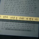 장미비디오 이미지