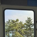 116 | [부산여행] 해운대 블루라인파크 코스 추천, 해변열차·스카이캡슐