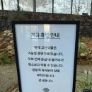 수목원가든 | 춘천 수목원 제이든가든 12월 겨울 방문 후기