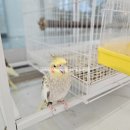 리프패럿대구 | 대구 아이와 가볼만한곳 앵무새 카페 리프패럿 대구월성점 내돈내산 상세정보 및 후기