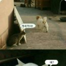 취한남자 이미지