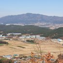 냉천 지초 이미지