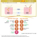 산양분유는 일동후디스가 최고인 듯 해요 이미지