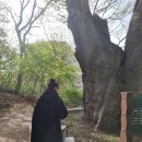 디이즈 이미지