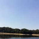 산사랑산약초 이미지