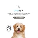 태양라이프 이미지