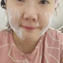 주식회사 데일리 | 주식회사 리리엘 비피다 퍼스트 톤업 세럼 150ml — 유산균/미백/톤업/진정 올인원 세럼 후기