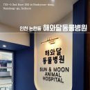 해와달동물병원 이미지
