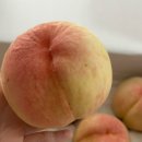 하송농장 이미지