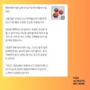 3H 단백질카페