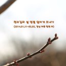 ♡ 설 명절 알차게 보내기 (2014.01.30~02.02, 경남 하동 횡천 외) 이미지