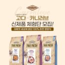캣러브 이미지