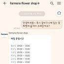 파모어 이미지