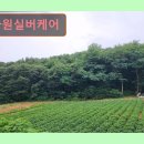 호평요양병원 | 경기도 요영원 요양센터 다원실버케어 프리미엄 요양 서비스 제공