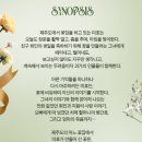 대학로 연극 꽃, 별이 지나 ~2024.08.18 @서경대학교 공연예술센터 강추후기