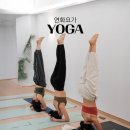 카페하타 | 풍산역 요가학원 연화요가 체험 후기｜아쉬탕가·하타 요가 클래스