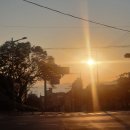 교촌치킨동삼점 | 가마치 통닭 옛날통닭 메뉴 감튀도 추천!