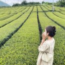 파리바게뜨(아현점) | 8월 일상에 스며든 보물 같은 나날들