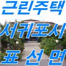 표선리-18 네이버블로그