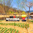 대가야생활촌 먹거리마을 이미지