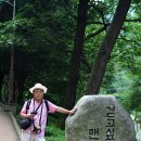 대양참치 이미지