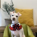 덕이 미장원 이미지