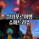 관광슈퍼 - 포항시 남구 | 싱가포르 여행 필수코스 무료 야경 명소 추천 슈퍼트리쇼 솔직후기 공연시간 관람팁 총정리