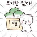 투데이슈퍼 이미지