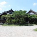 마당너른집 이미지