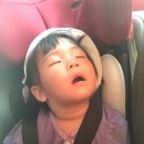 서윤목장 이미지