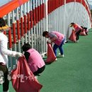 아리랑축산 이미지