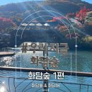 영축산순환산책로(유아숲) | 곤지암 화담숲 1편 | 화담숲 예매·주차·순환버스·모노레일 정보 &amp; 화담채 전시관 후기