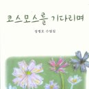 도서출판코스모스 이미지