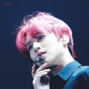 체리투어 이미지