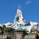 하두 | 도쿄 디즈니씨 티켓 가격 구매 라푼젤 어트랙션 dpa 없이