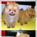 문화동016 이미지