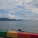 사천견생 이미지