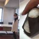 부부김밥 이미지