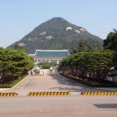 대통령은 용이 된 것일까/엄상익변호사 이미지