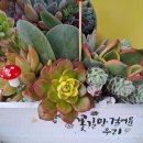 꽃길어린이집 이미지