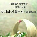 행복한하루 이미지