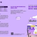 마하사 현왕도 | 마하사, 부산 연제구와 ‘체험형 웰니스 관광콘텐츠 사업’ 성황