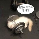 007세탁 | 월간재혁지: 가을끝 겨울시작! 붕어빵의 계절 11월❄️