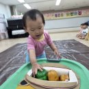 당나귀야 많이 먹어~~ (체육 특강) 이미지