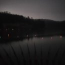 영천 참붕어 이미지