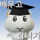 프라이빗항공투어 | 지상낙원 4월 세부 여행 일기(1/2): 세부야안녕 프라이빗 호핑 투어 후기 🐋🐢🫧 (오슬롭, 모알보알)