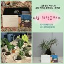 청년스테이션 커뮤니티룸2 | 시흥청년이라면 주목! 2026 시흥 청년 커뮤니티 '청취함' 소개ㅣ6월 클래스 참여후기 대추천!